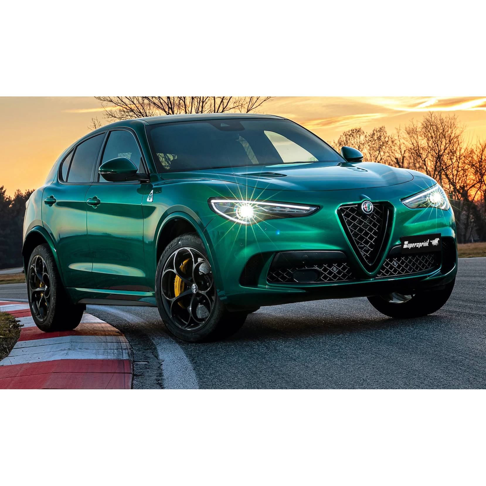 ALFA ROMEO STELVIO QUADRIFOGLIO 2.9i V6 Bi-Turbo (510 Hp) 2020 ->